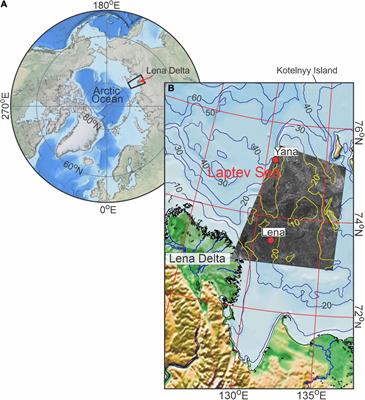 Coastal Polynya Disrupts the Acoustic Backscatter Diurnal Signal Over the Eastern Laptev Sea Shelf